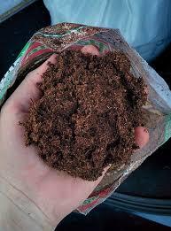 Peat Moss