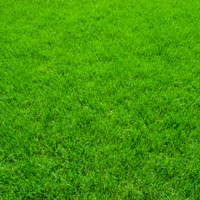 Natural Lawn Supply