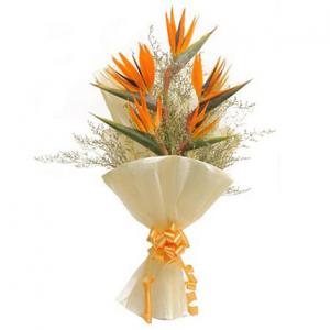 Bird of India bouquet