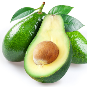 Butter fruit plant - Avocado